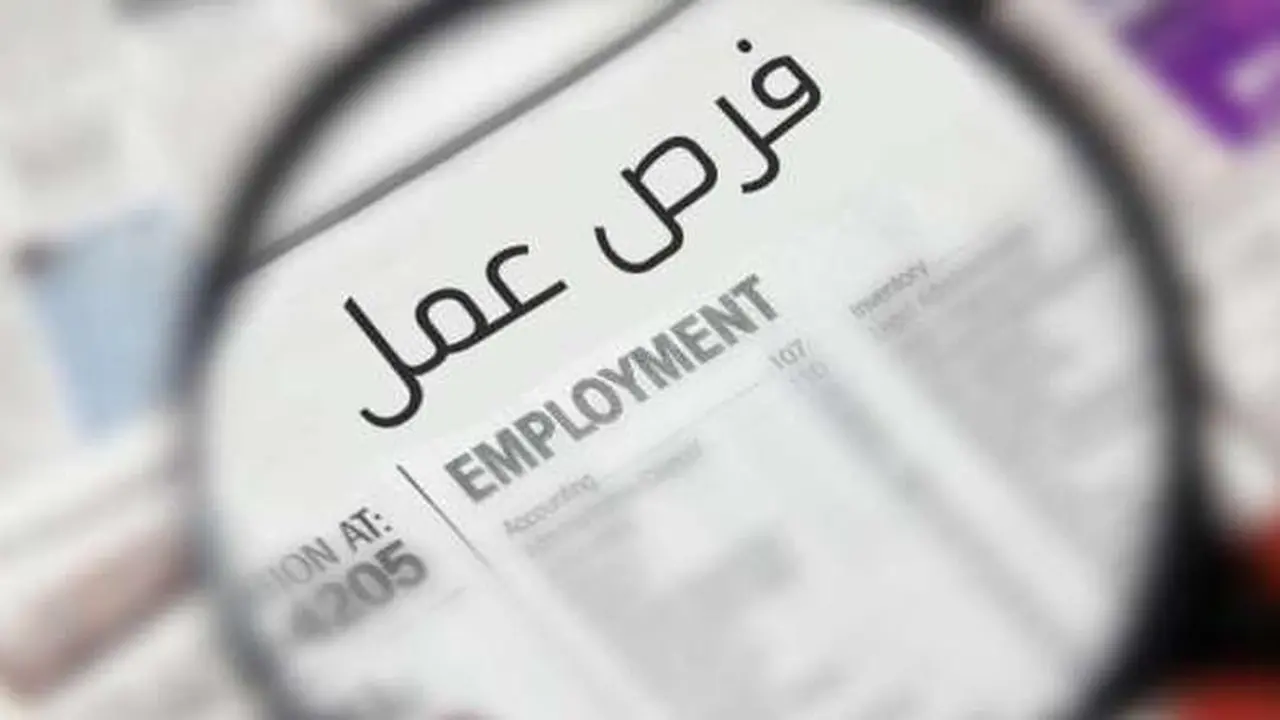 إعلان فرص وظائف شاغرة في 3 تخصصات براتب 30 ألف جنيه شهريًا